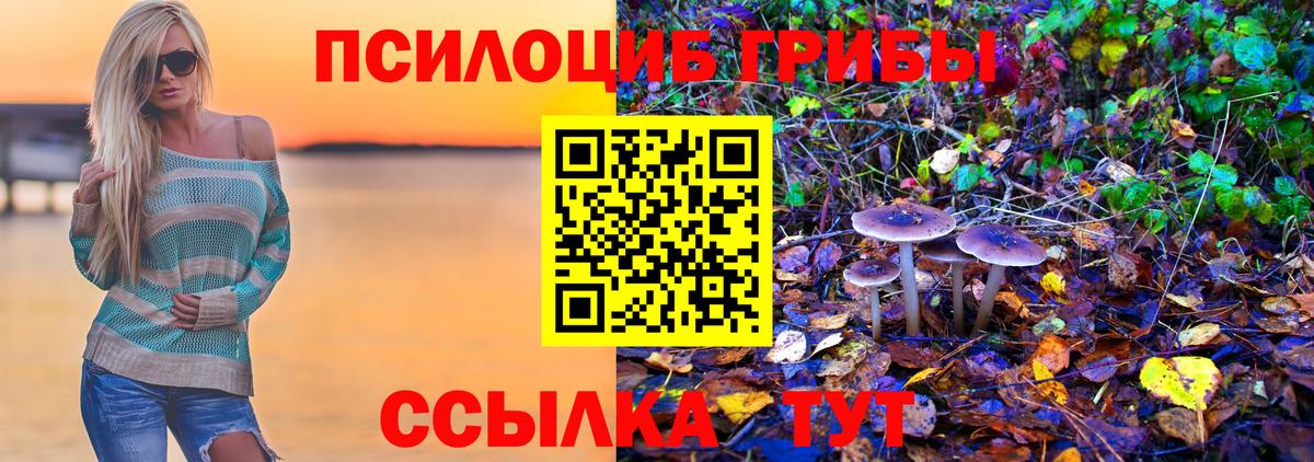 Рыбинск  Псилоцибиновые грибы прущие грибы  Псилоцибиновые грибы ЛСД  даркнет сайт  Вход с VPN 